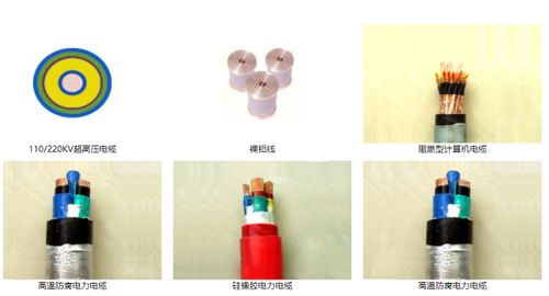 山東智造 綠色創新驚艷全球，環保產品引領未來市場